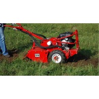 Tuinfrees 60cm 16PK