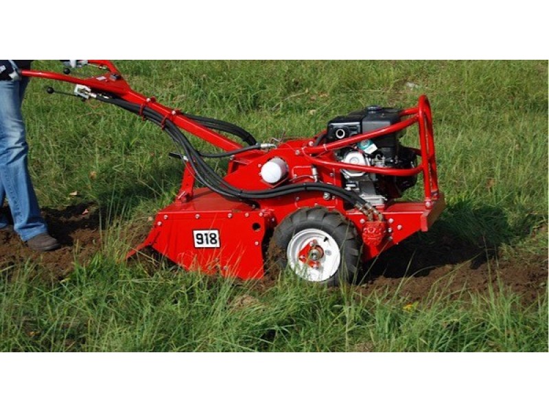 Tuinfrees 60cm 16PK