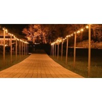 Prikkabel | LED | wit | 25M